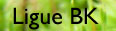 Ligue BK