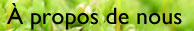 � propos de nous